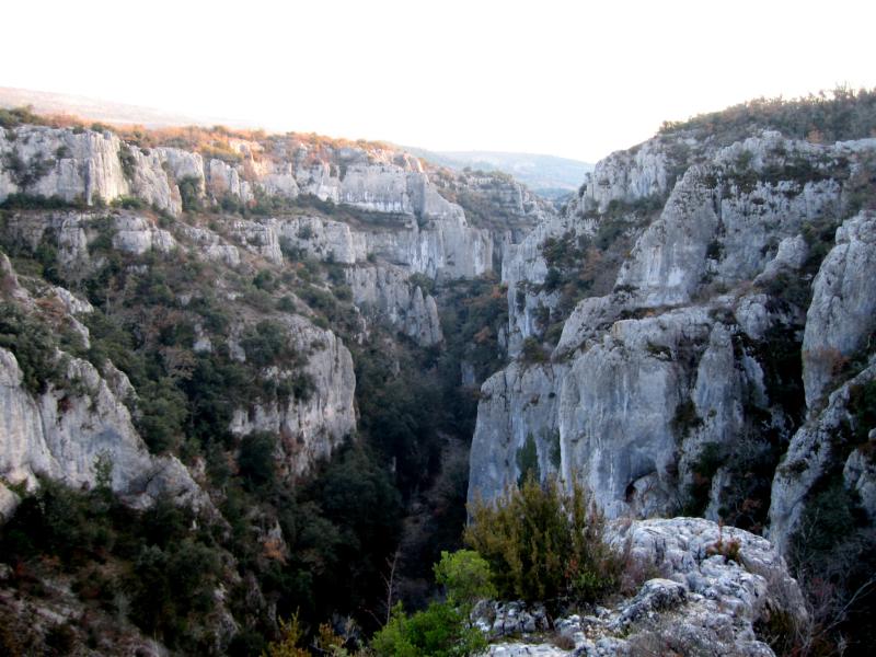 Oppedette