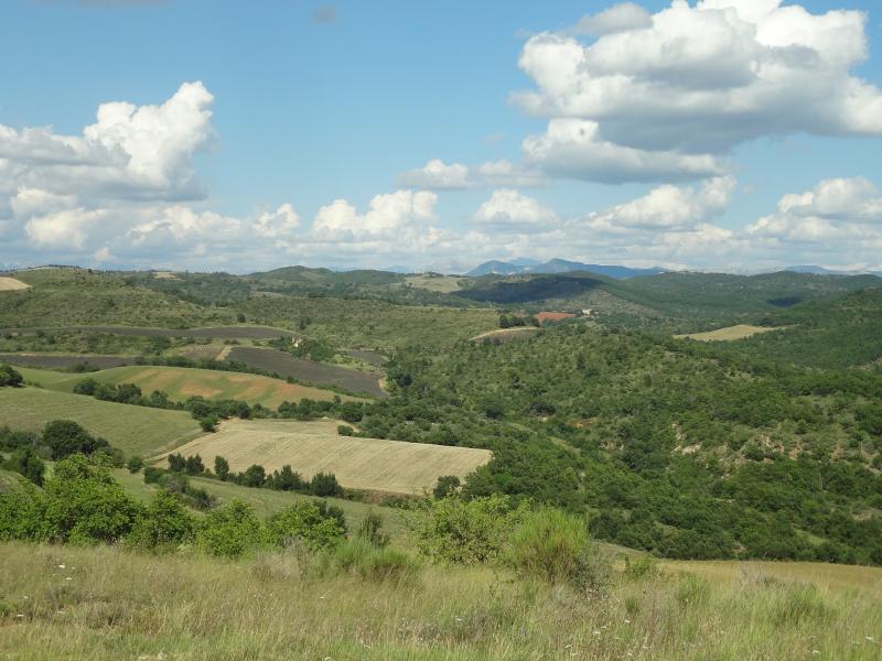 Puimichel