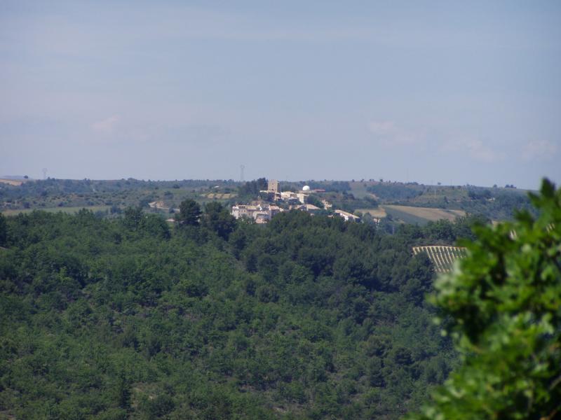 Puimichel