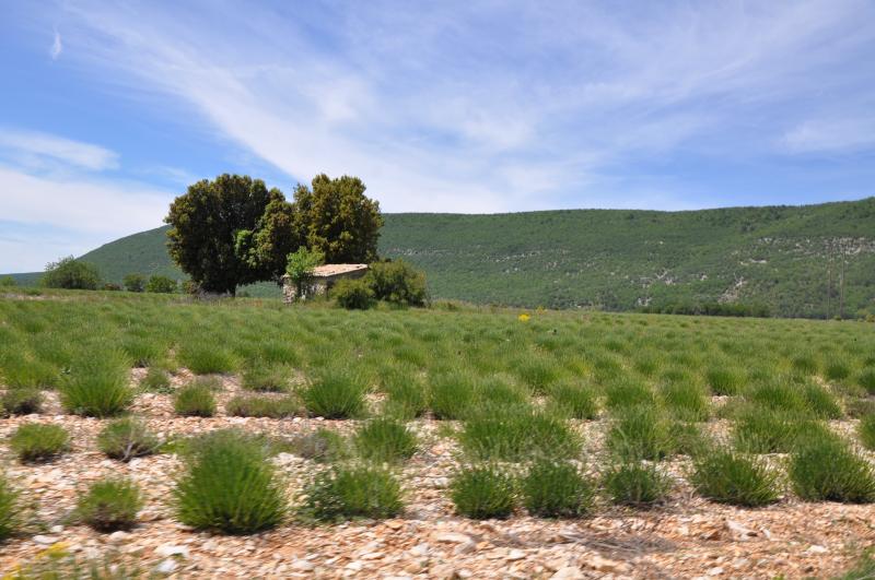 La Rochegiron