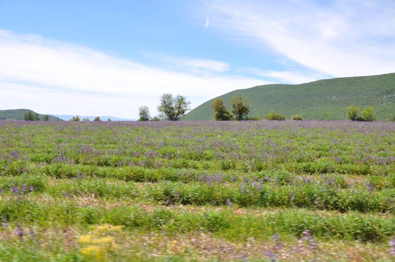 La Rochegiron