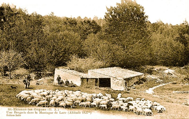 Saint-Étienne-les-Orgues
