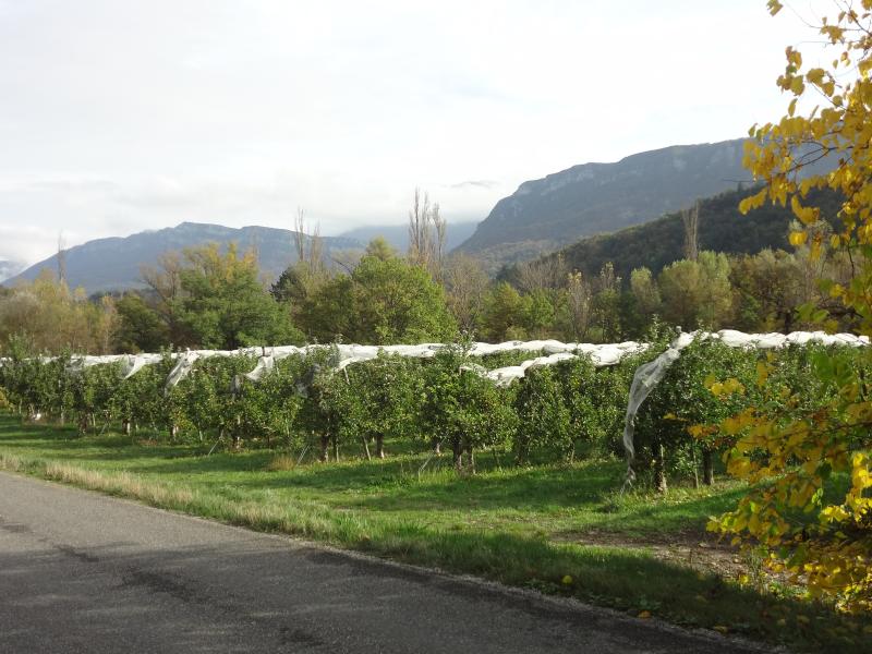 Saint-Vincent-sur-Jabron
