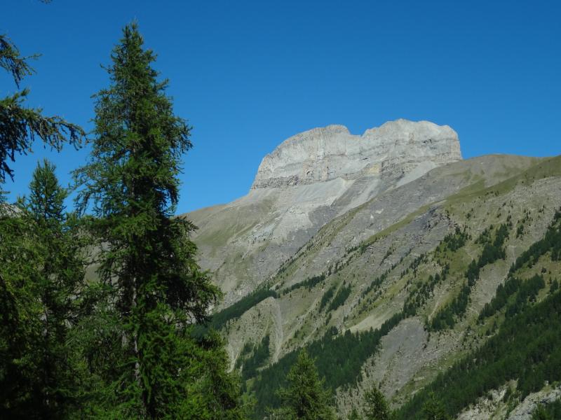 Les Thuiles
