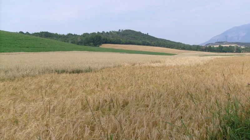 La Bâtie-Vieille