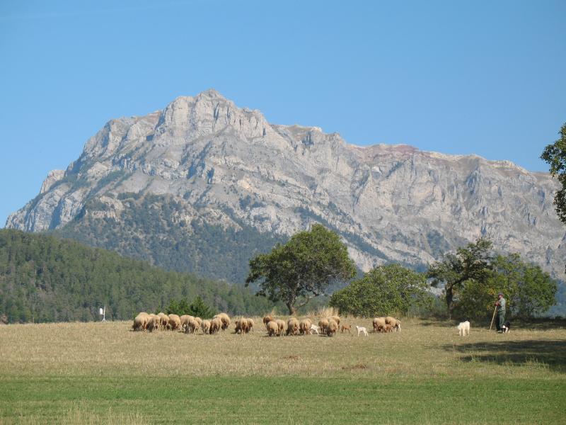 Le Sauze-du-Lac