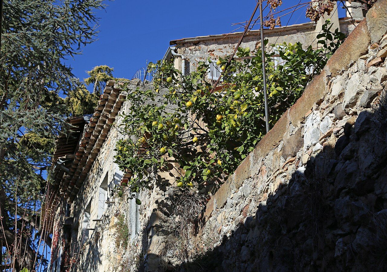 Photo 2 — Biot, Alpes-Maritimes (06410)