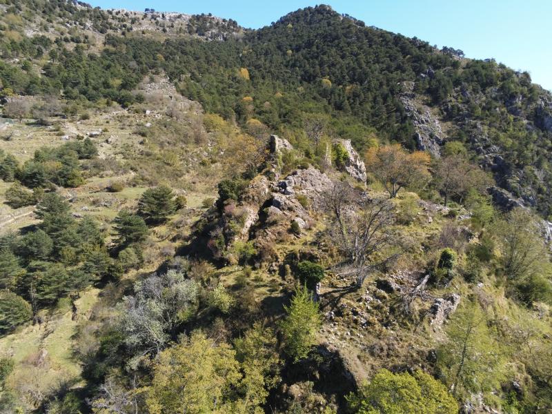 Castellar