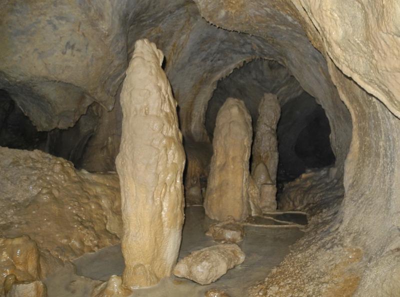 Daluis