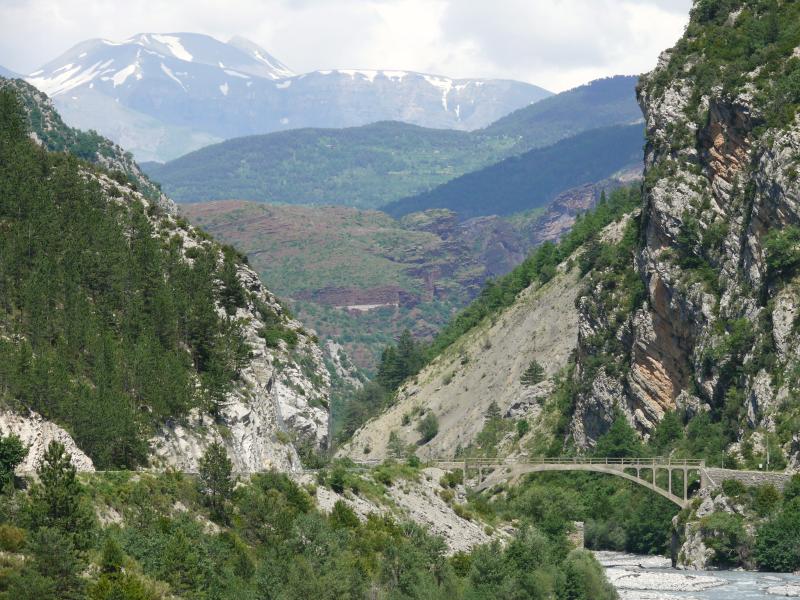 Daluis