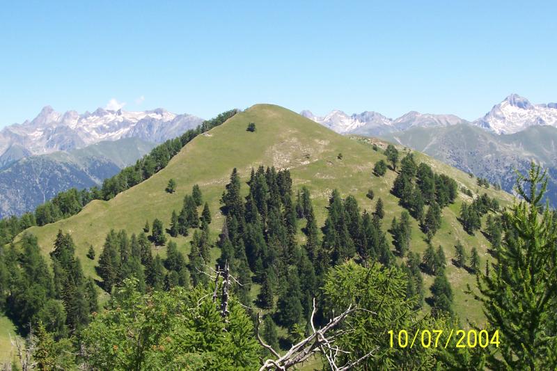 Venanson