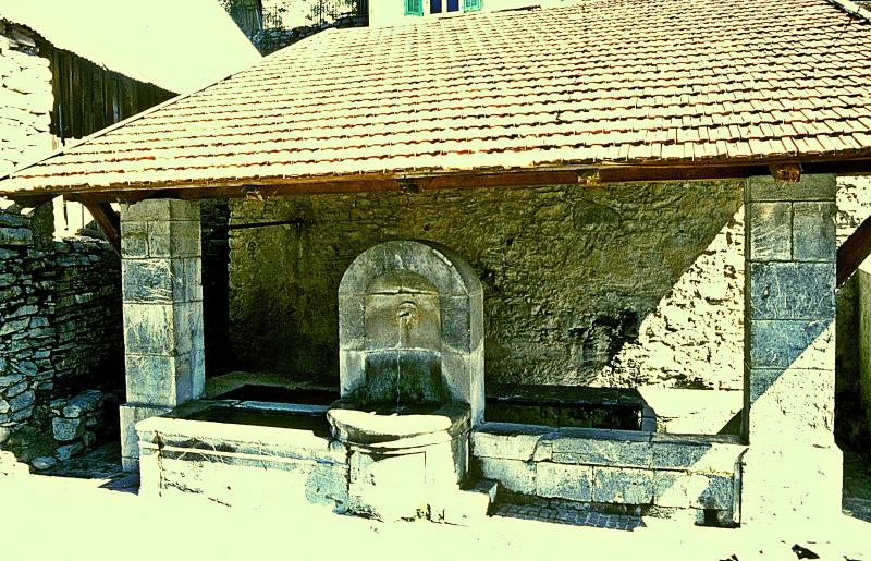 Venanson