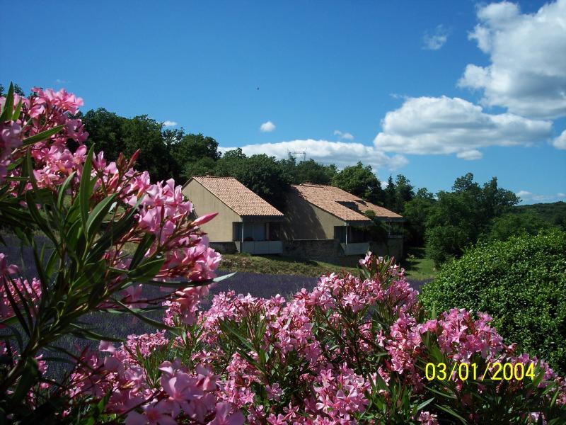 Larnas