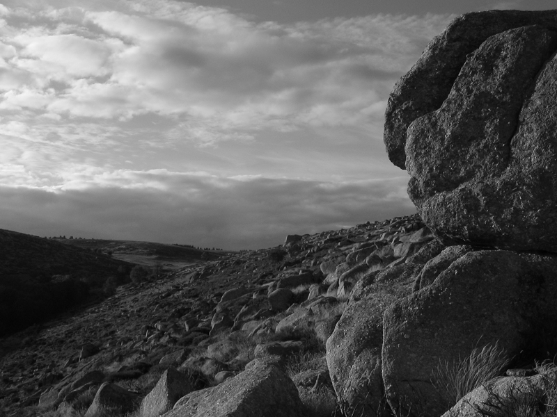 Montselgues