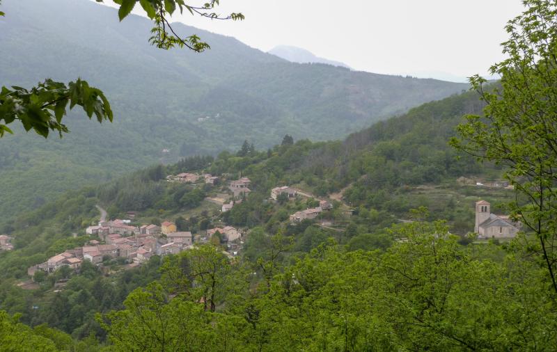 Prunet
