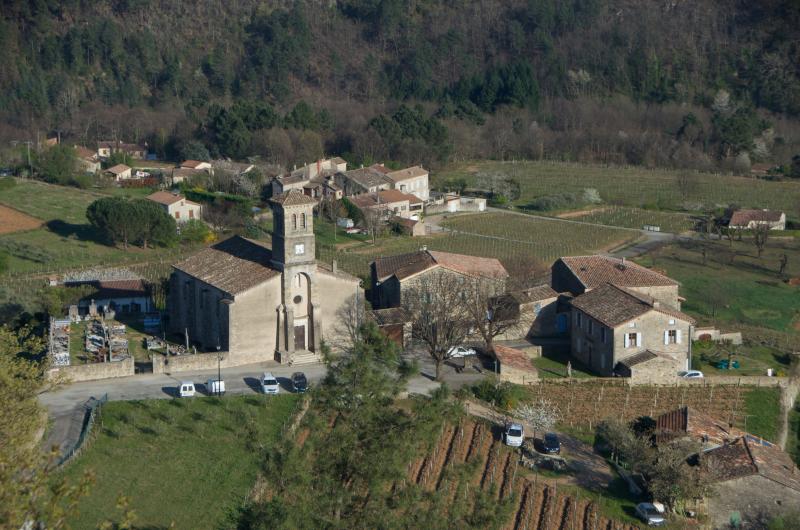 Ribes