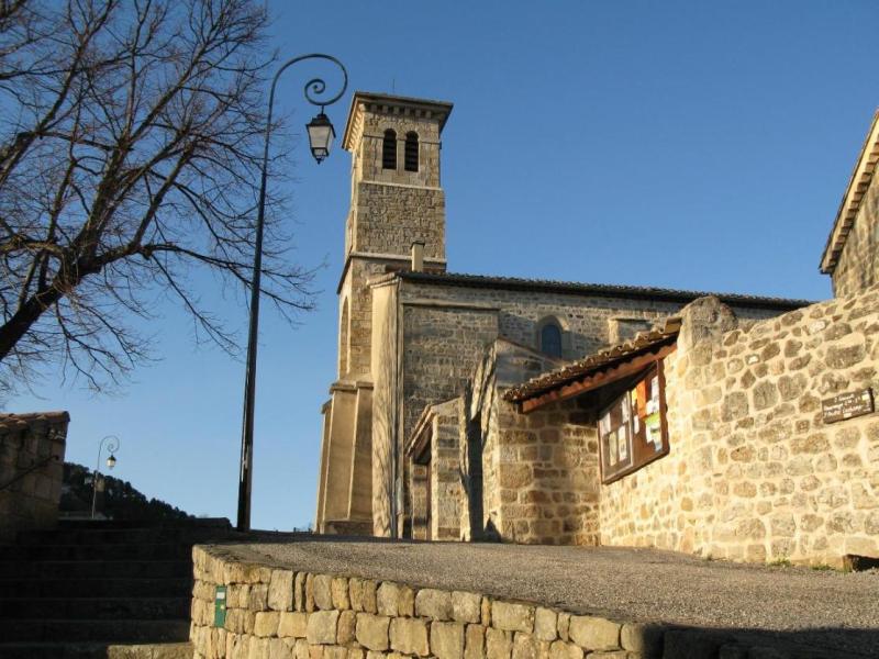 Ribes