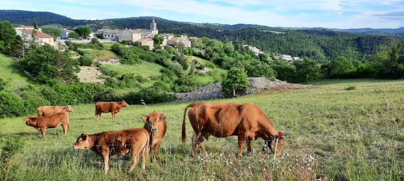 Saint-Andéol-de-Berg