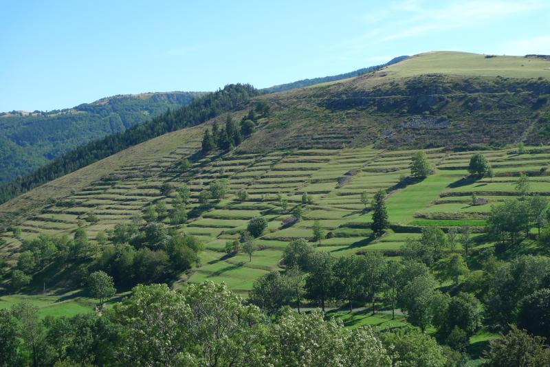 Saint-Andéol-de-Fourchades