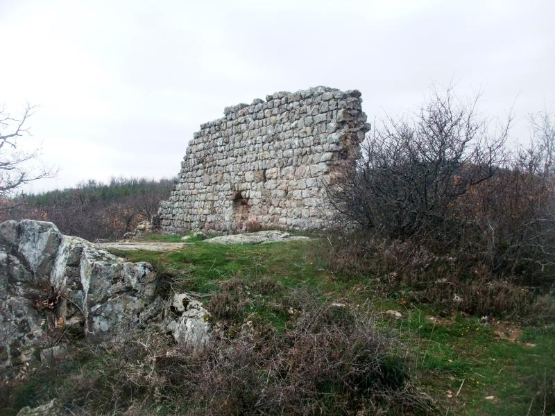 Savas