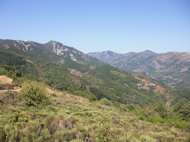 La Souche