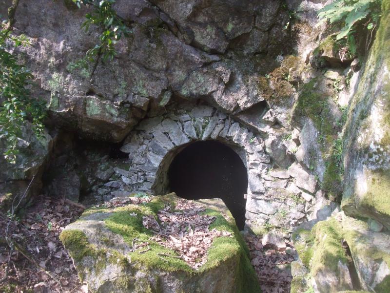 Talencieux
