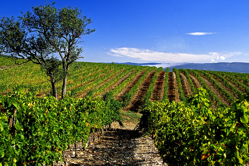 Valvignères