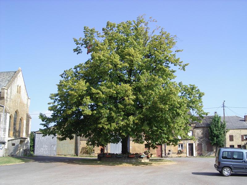Neufmaison