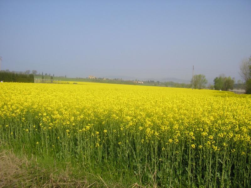 Vendresse