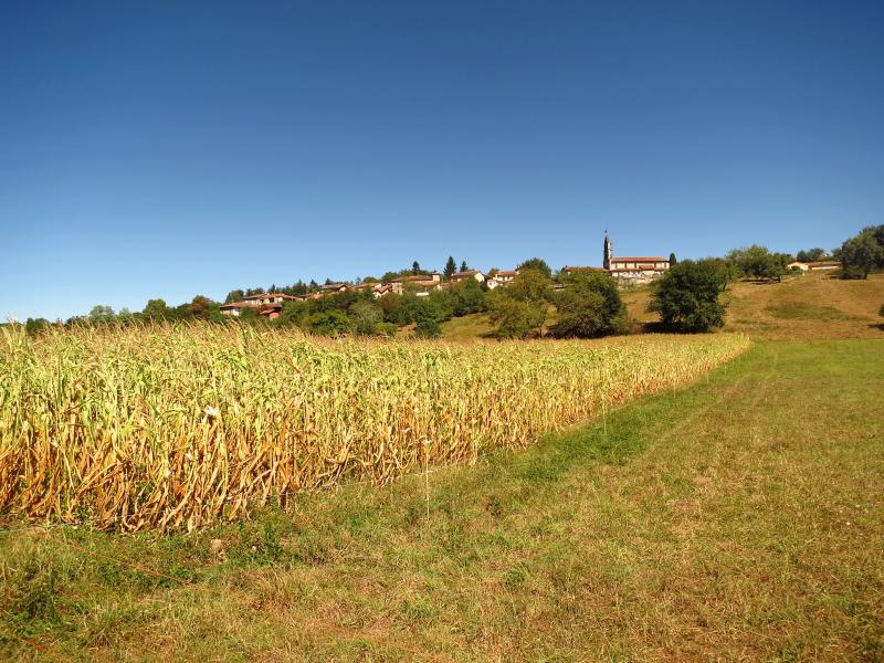 Caumont