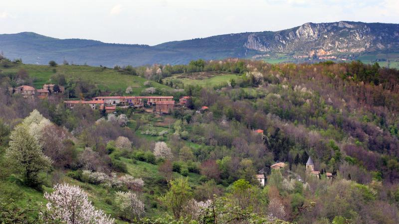Freychenet