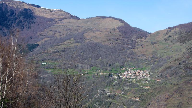 Larcat