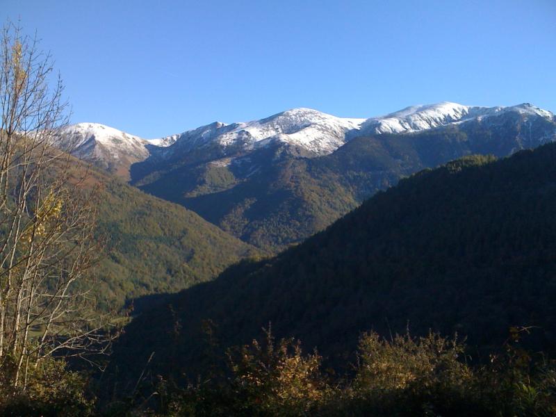 Lercoul