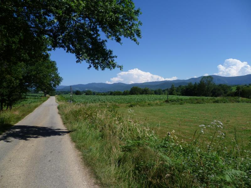 Lescure