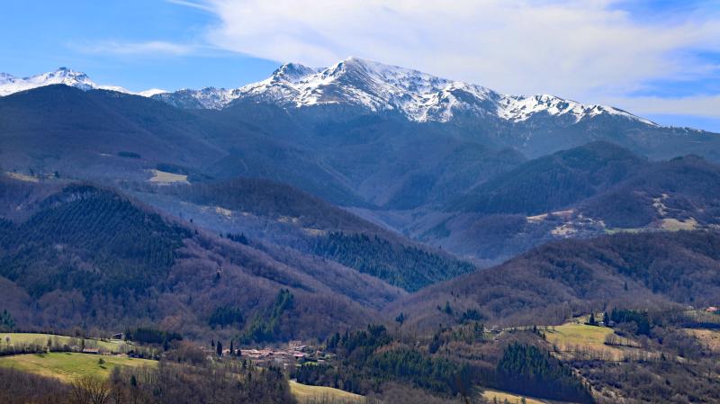 Leychert