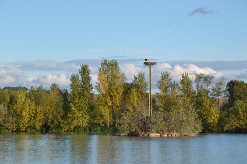 Mazères