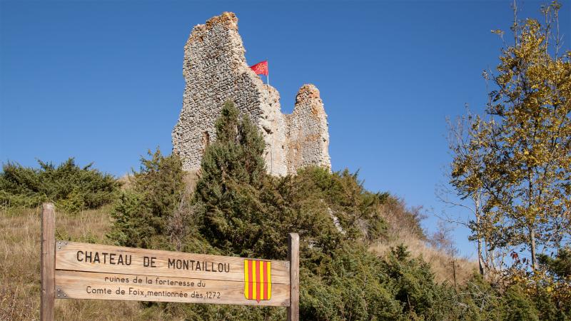 Montaillou