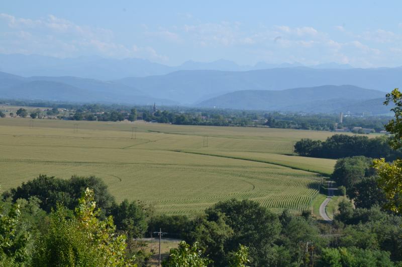 Montaut