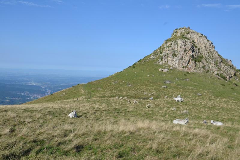 Montferrier