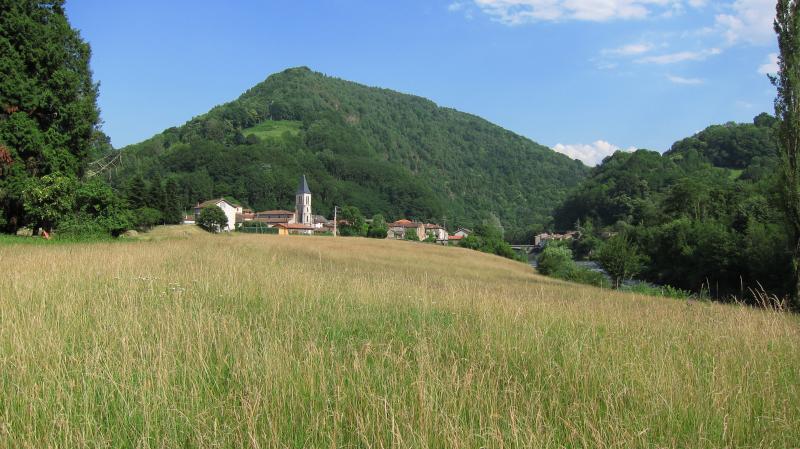 Moulis