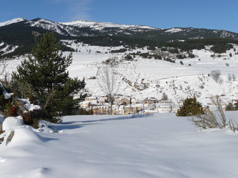 Orlu