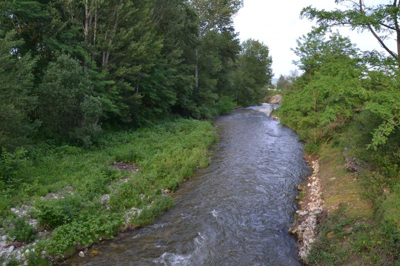Régat