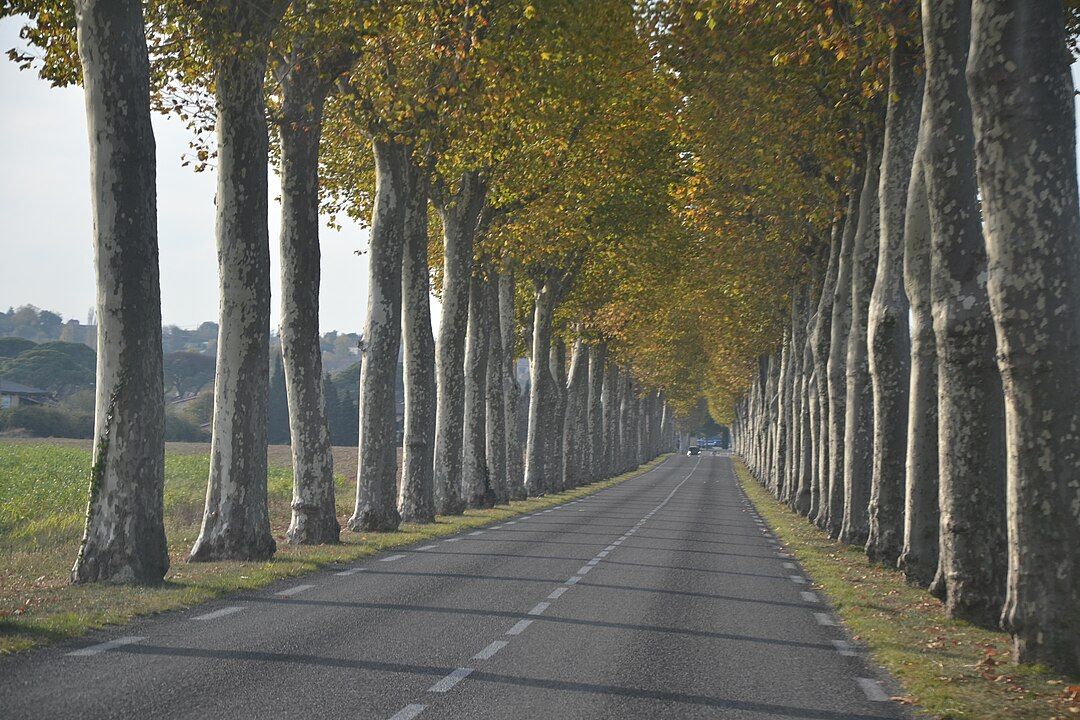 Photo 6 — Saverdun, Ariège (09700)