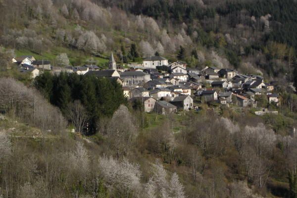 Siguer
