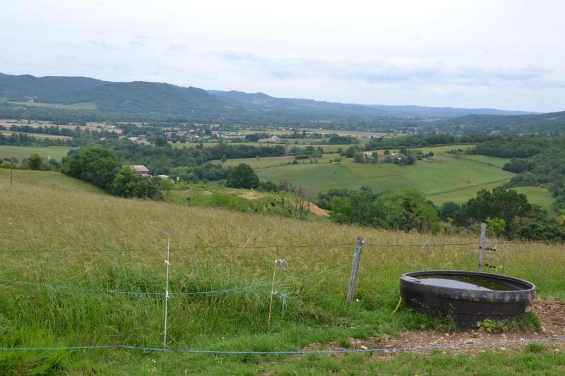 Viviès
