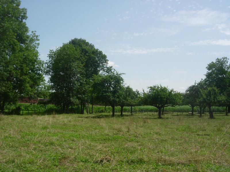 Coursan-en-Othe