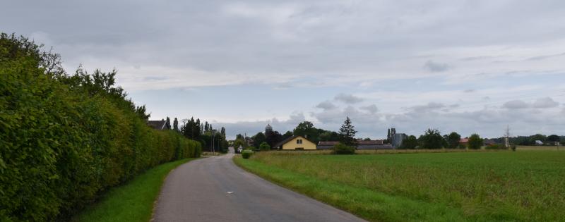 Joncreuil