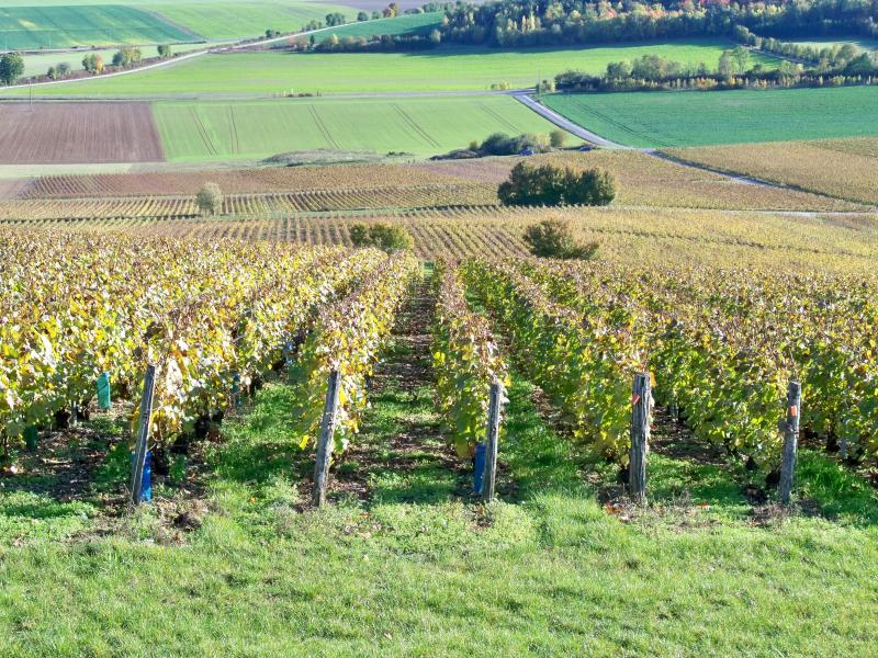 Montgueux