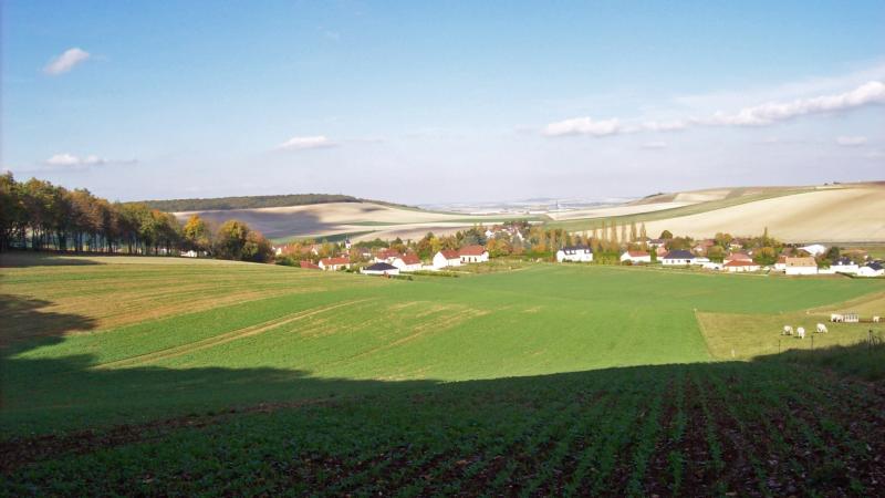 Prugny
