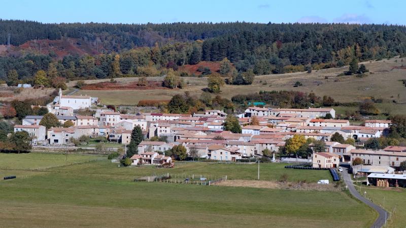 Aunat